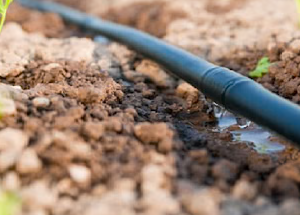 Imagen subcategoría: Riego Localizado